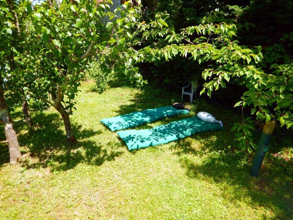 80 M2 Independant 4 Personnes Direct Gare Ou Aeroport Jardin Piscine Lägenhet Toulouse Exteriör bild